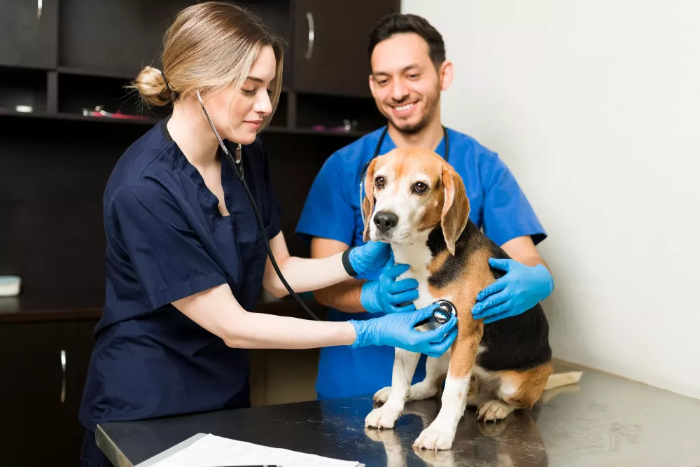 General Consultation & Health Check-ups
